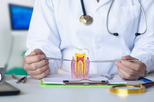 Best Emergency Dentist for Knocked-Out Tooth in Atmore, AL